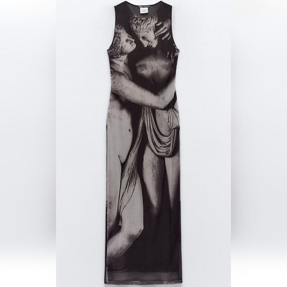 ZARA PRINTED TULLE DRESS - Picture 4 of 5